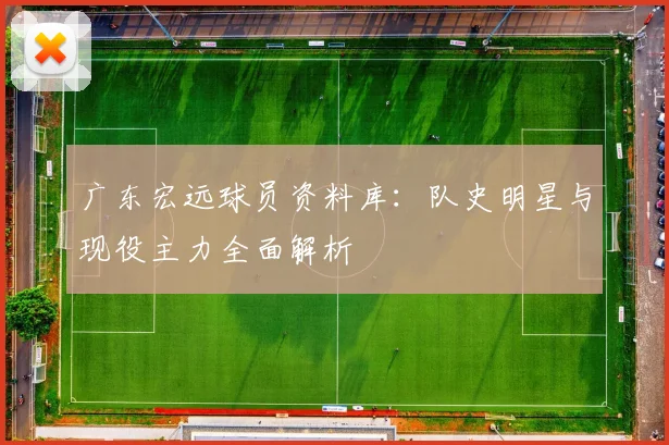 广东宏远球员资料库：队史明星与现役主力全面解析