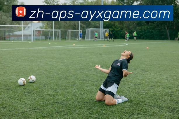 爱游戏品牌故事