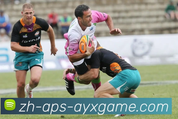 爱游戏服务体系